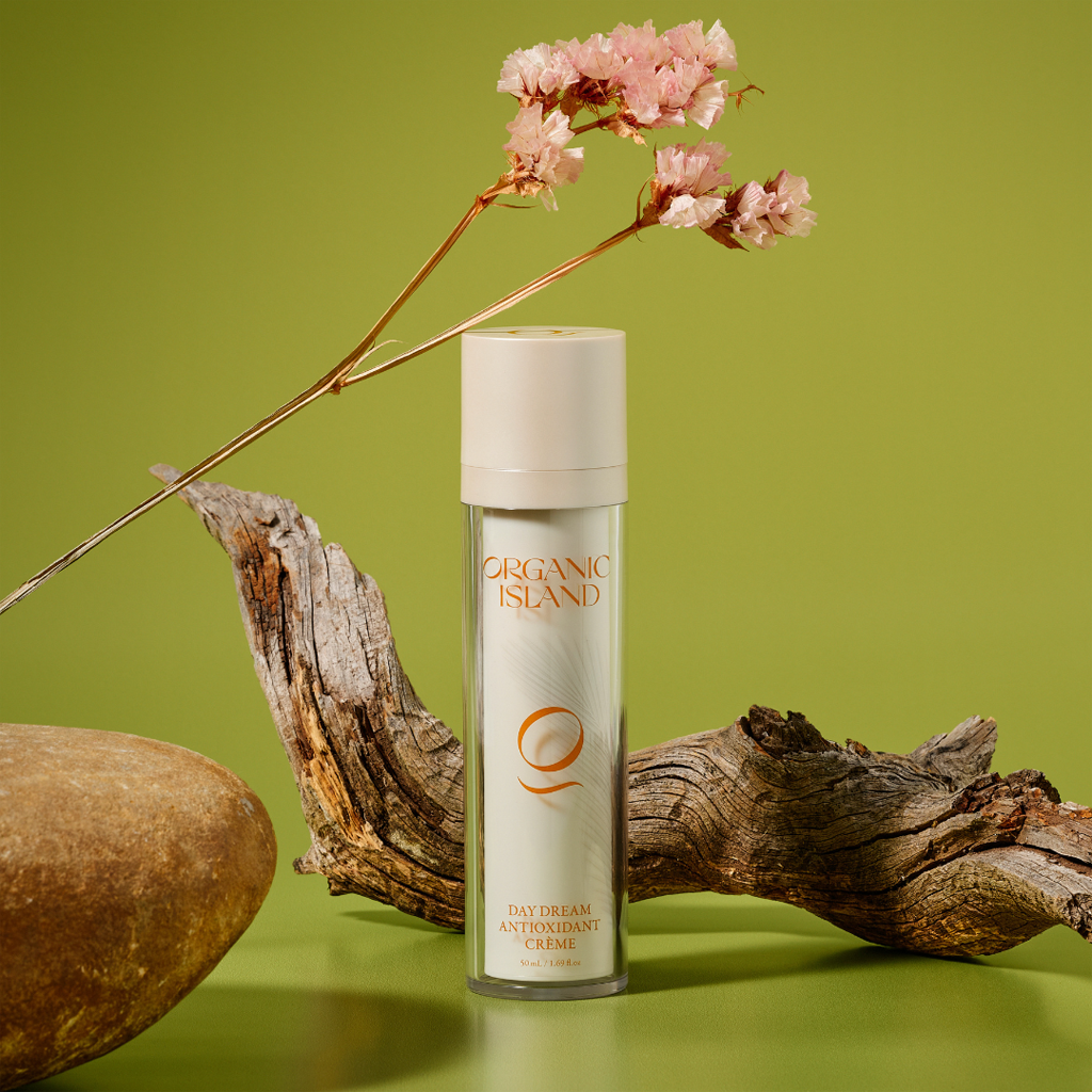 Day Dream Antioxidant Crème