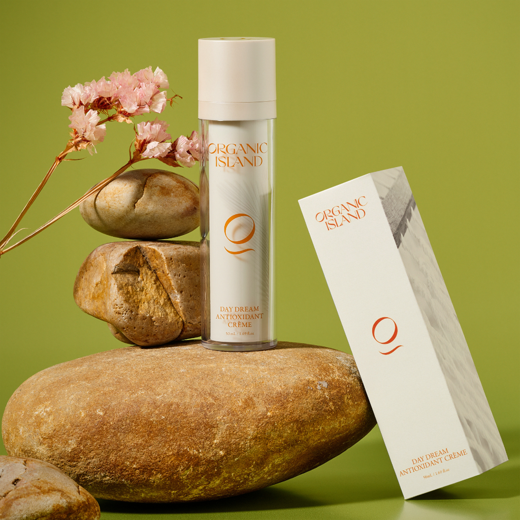 Day Dream Antioxidant Crème