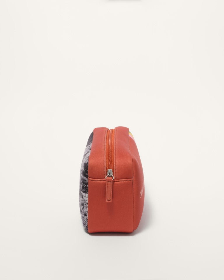 Cosmetics Bag