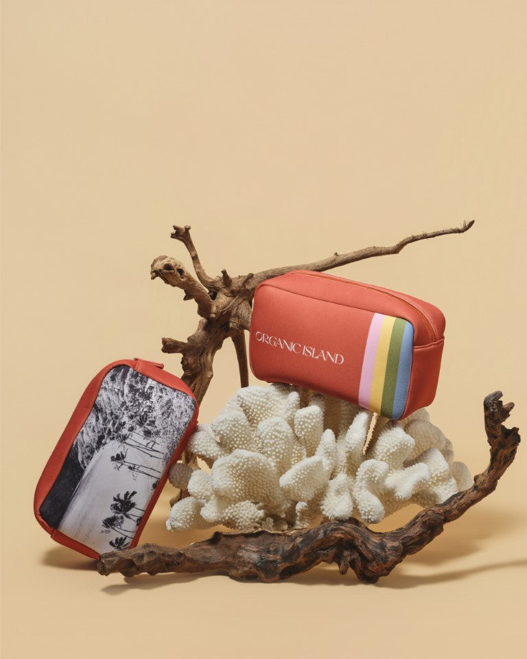 Cosmetics Bag