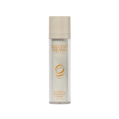 Day Dream Antioxidant Crème