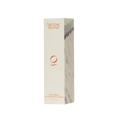 Day Dream Antioxidant Crème