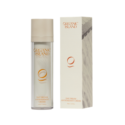 Day Dream Antioxidant Crème