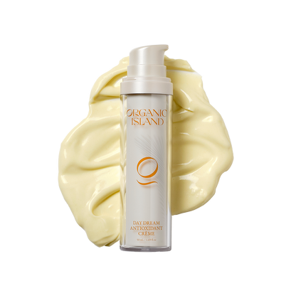 Day Dream Antioxidant Crème
