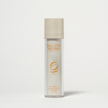 Day Dream Antioxidant Moisturiser Crème