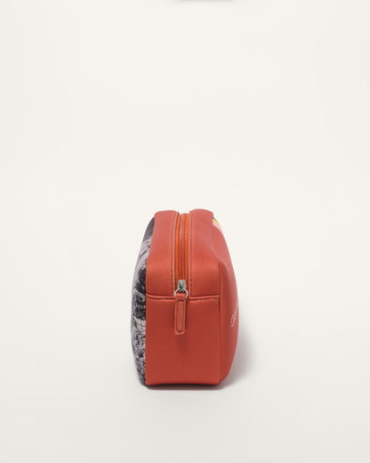 Cosmetics Bag